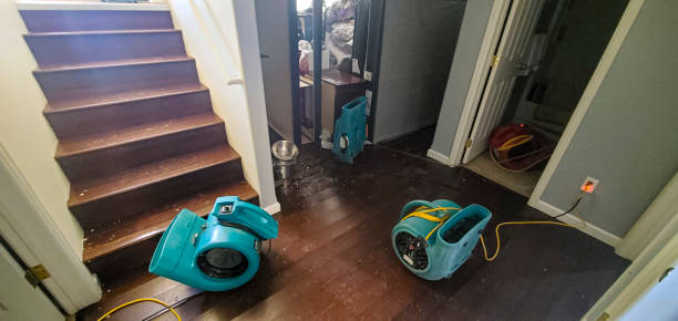 Carpet water damage restoration in Kamiah, ID