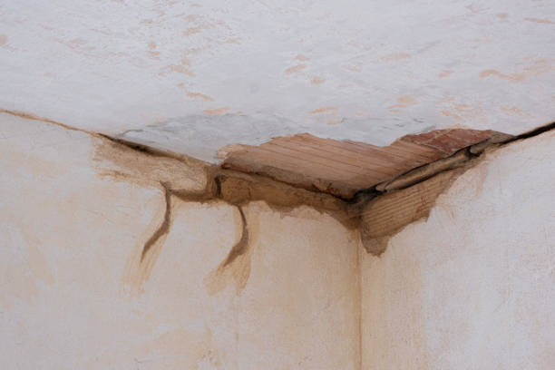 Best Professional water damage repair  in Kamiah, ID