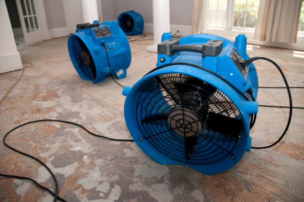 Best Flood restoration services  in Kamiah, ID