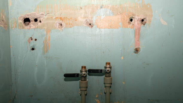 Best Water damage cleanup near me  in Kamiah, ID