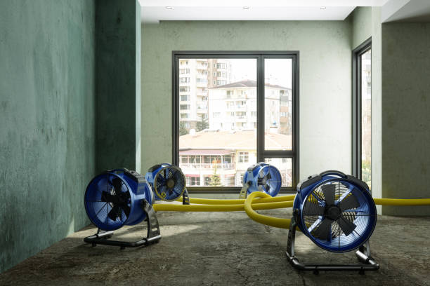 Best Water damage restoration process  in Kamiah, ID